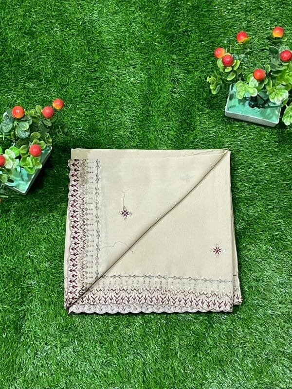 Women Fancy Embroidery Summer Shawl - Image 3